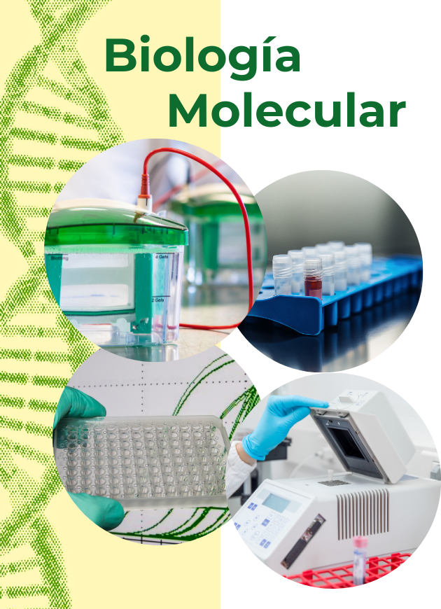 Biología Molecular: Soluciones Profesionales para Investigación y Diagnóstico