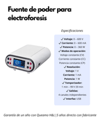Fuente de Poder para Electroforesis 0–600V | 4 Salidas Independientes | Pantalla Táctil LCD | Alta Precisión CV/CC/CP