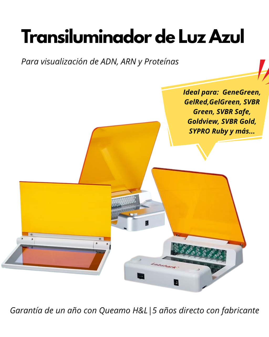 Transiluminador de Luz Azul para Electroforesis | Visualizador de ADN, ARN y Proteínas
