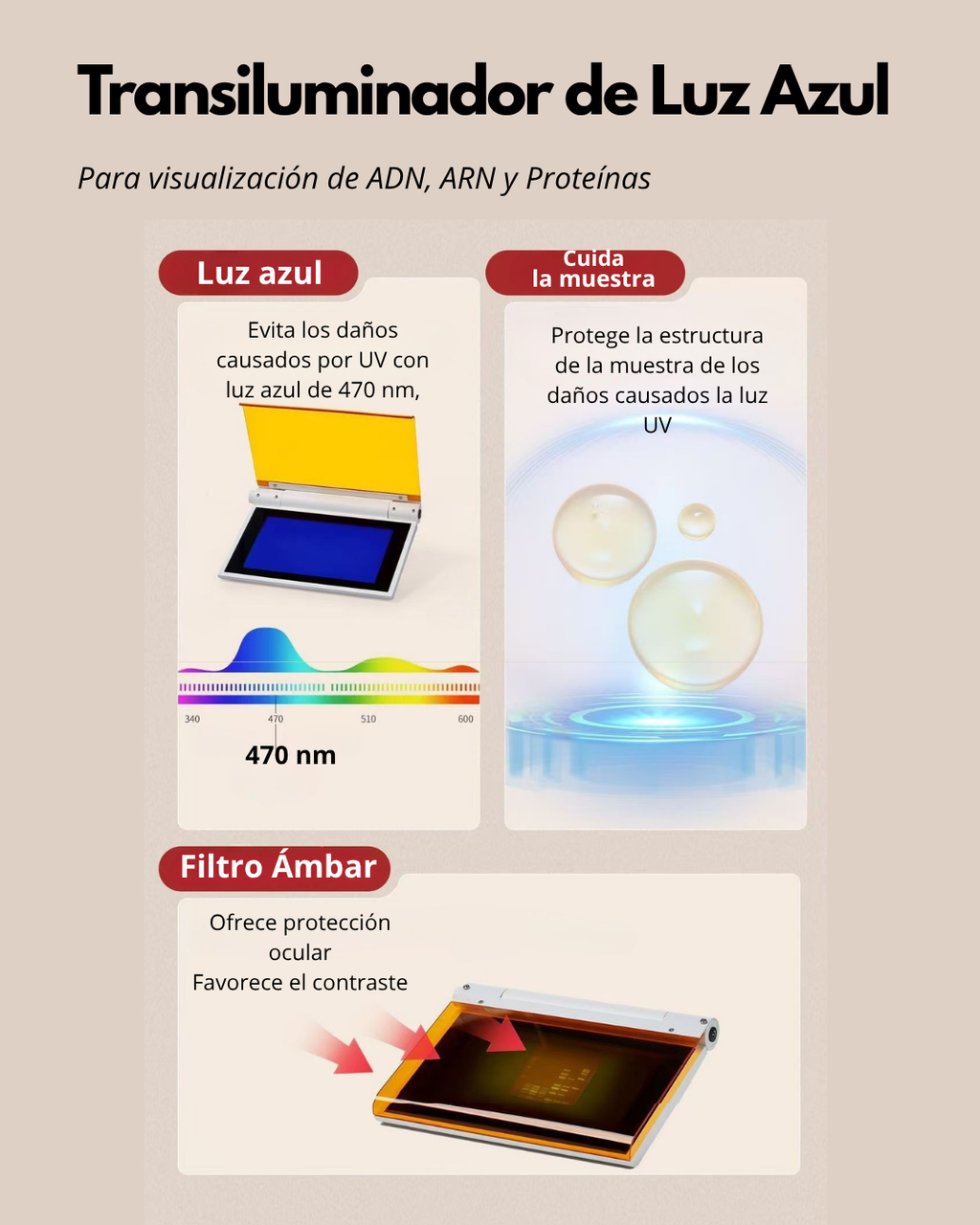 Transiluminador de Luz Azul para Electroforesis | Visualizador de ADN, ARN y Proteínas