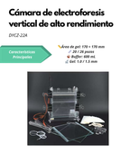 Cámara de Electroforesis Vertical de Alto Rendimiento DYCZ-22A