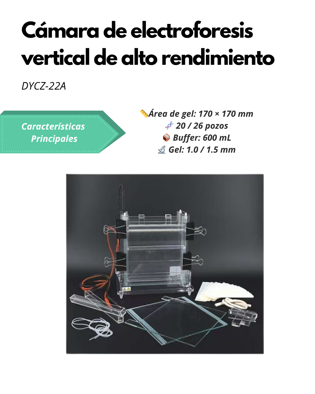 Cámara de Electroforesis Vertical de Alto Rendimiento DYCZ-22A