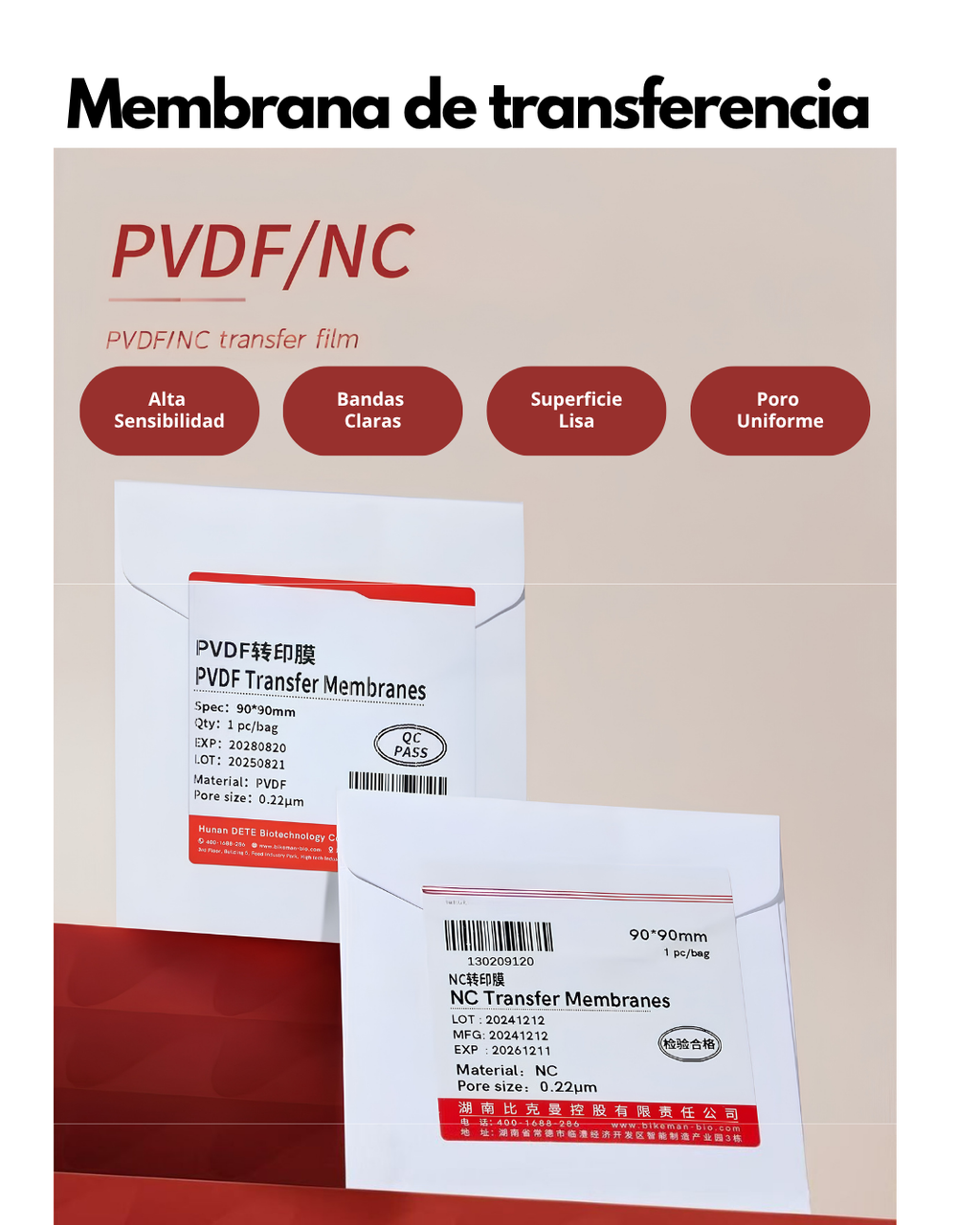 Membrana PVDF y NC para Western Blot | 0.22 y 0.45 µm
