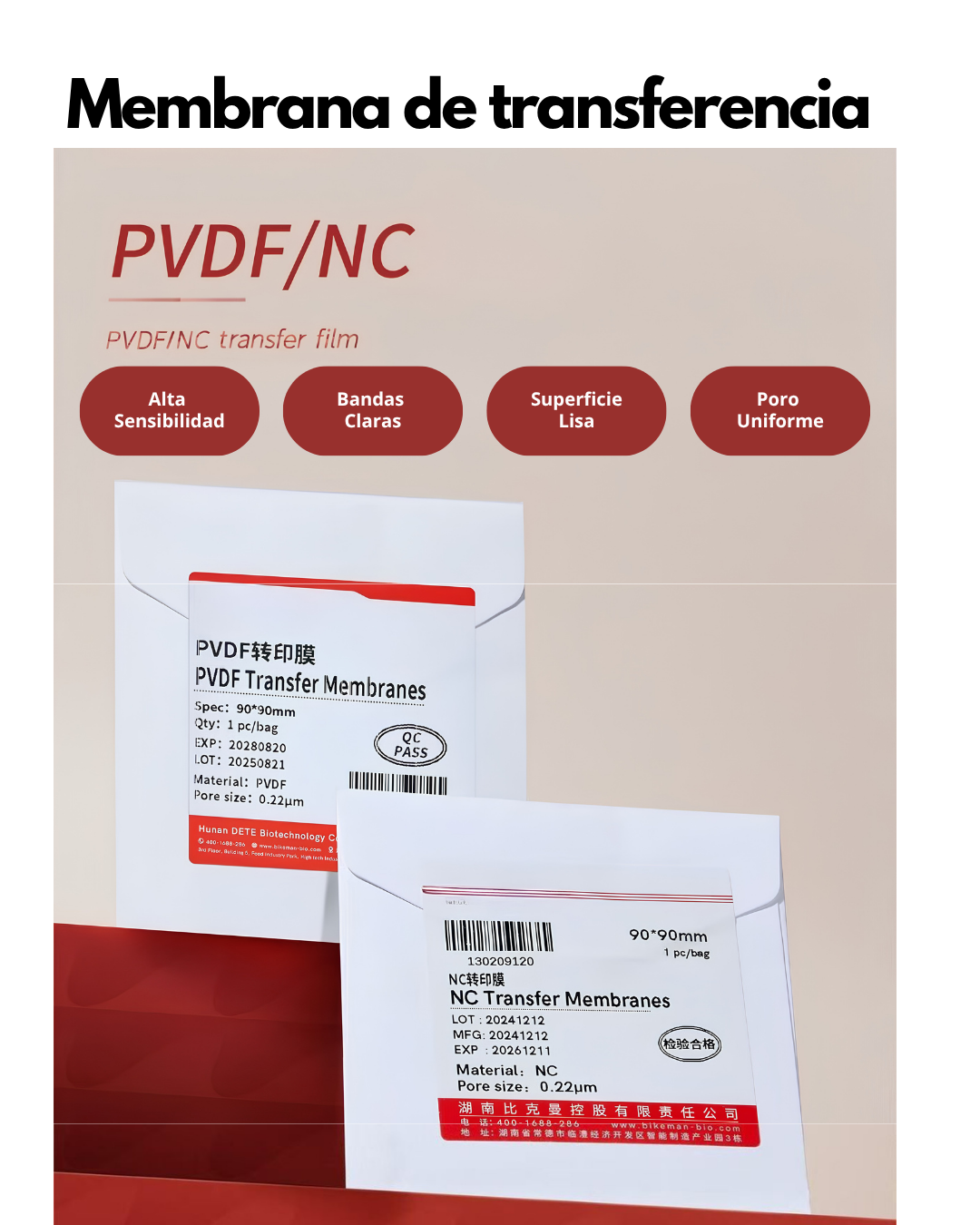 Membrana PVDF y NC para Western Blot | 0.22 y 0.45 µm