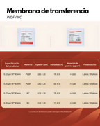 Membrana PVDF y NC para Western Blot | 0.22 y 0.45 µm
