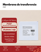 Membrana PVDF y NC para Western Blot | 0.22 y 0.45 µm