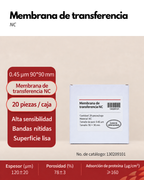Membrana PVDF y NC para Western Blot | 0.22 y 0.45 µm