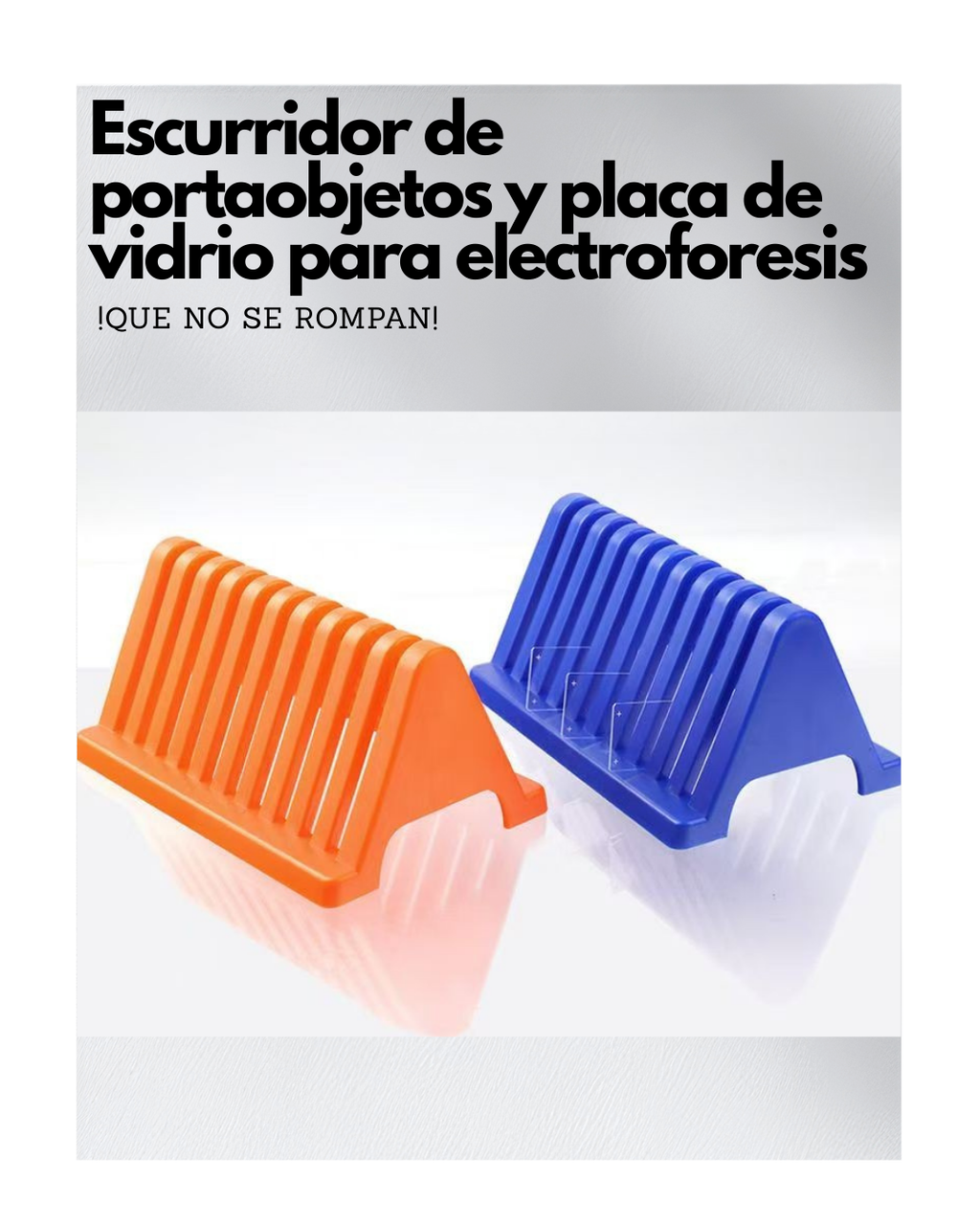 Escurridor para Portaobjetos y Placas de Vidrio para Electroforesis | Soporte de Secado de PP