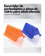 Escurridor para Portaobjetos y Placas de Vidrio para Electroforesis | Soporte de Secado de PP
