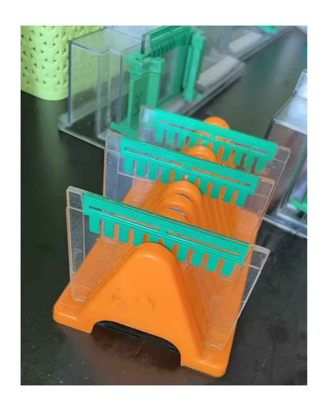 Escurridor para Portaobjetos y Placas de Vidrio para Electroforesis | Soporte de Secado de PP