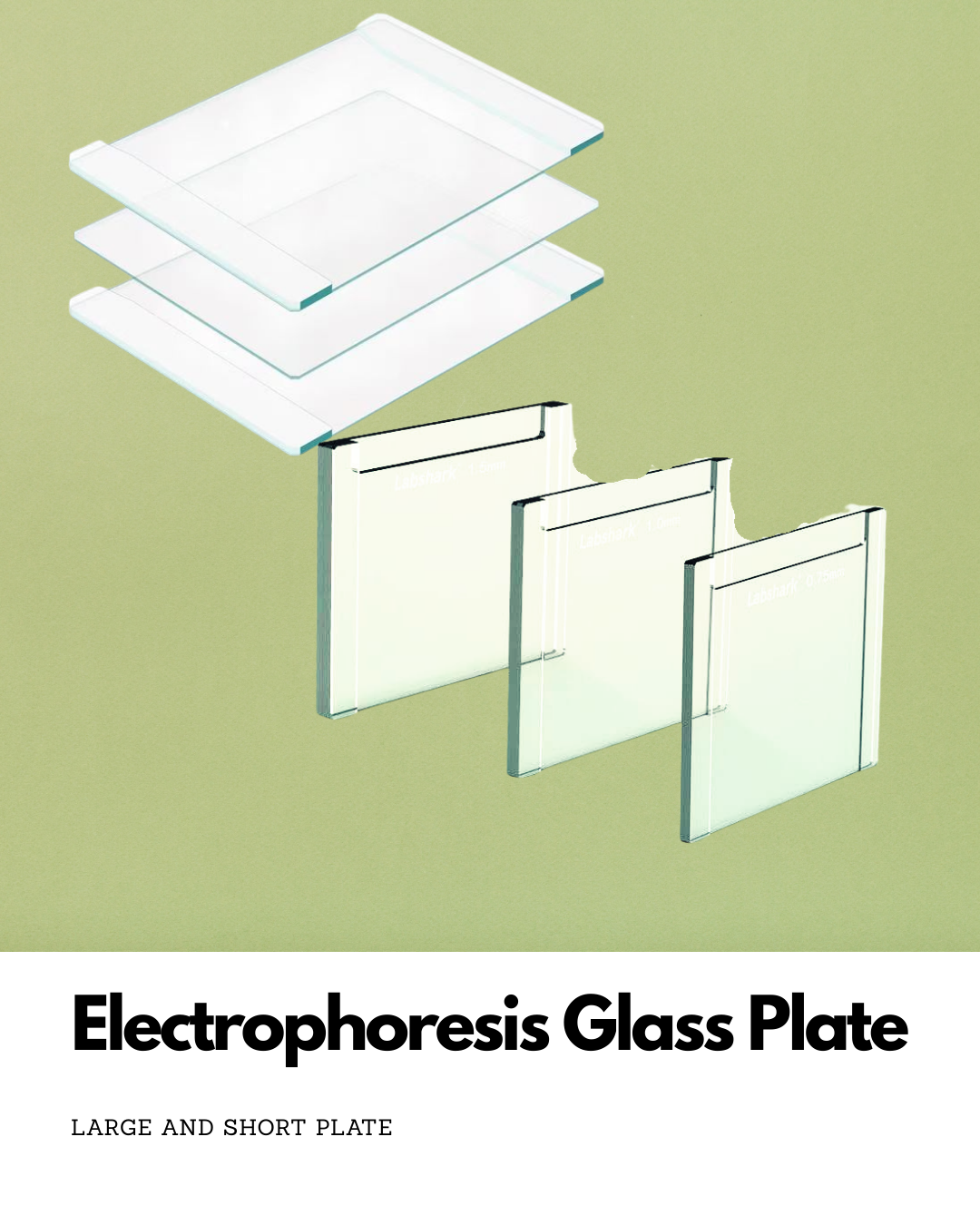 Vidrios para geles de electroforésis