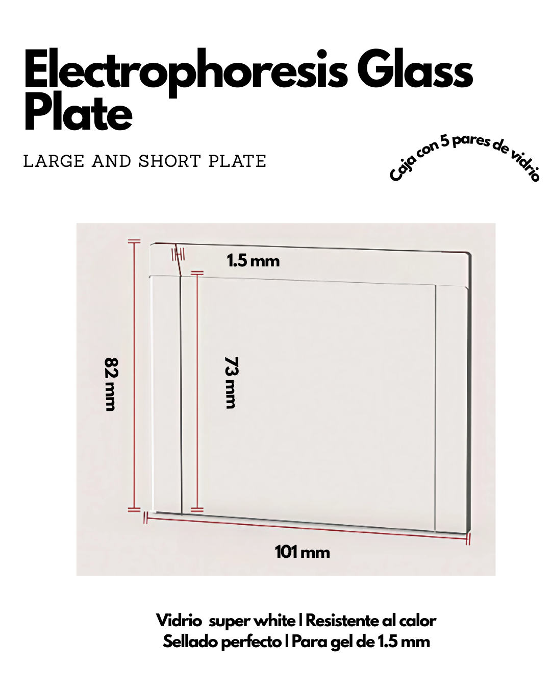 Vidrios para geles de electroforésis Imagen secundaria del producto