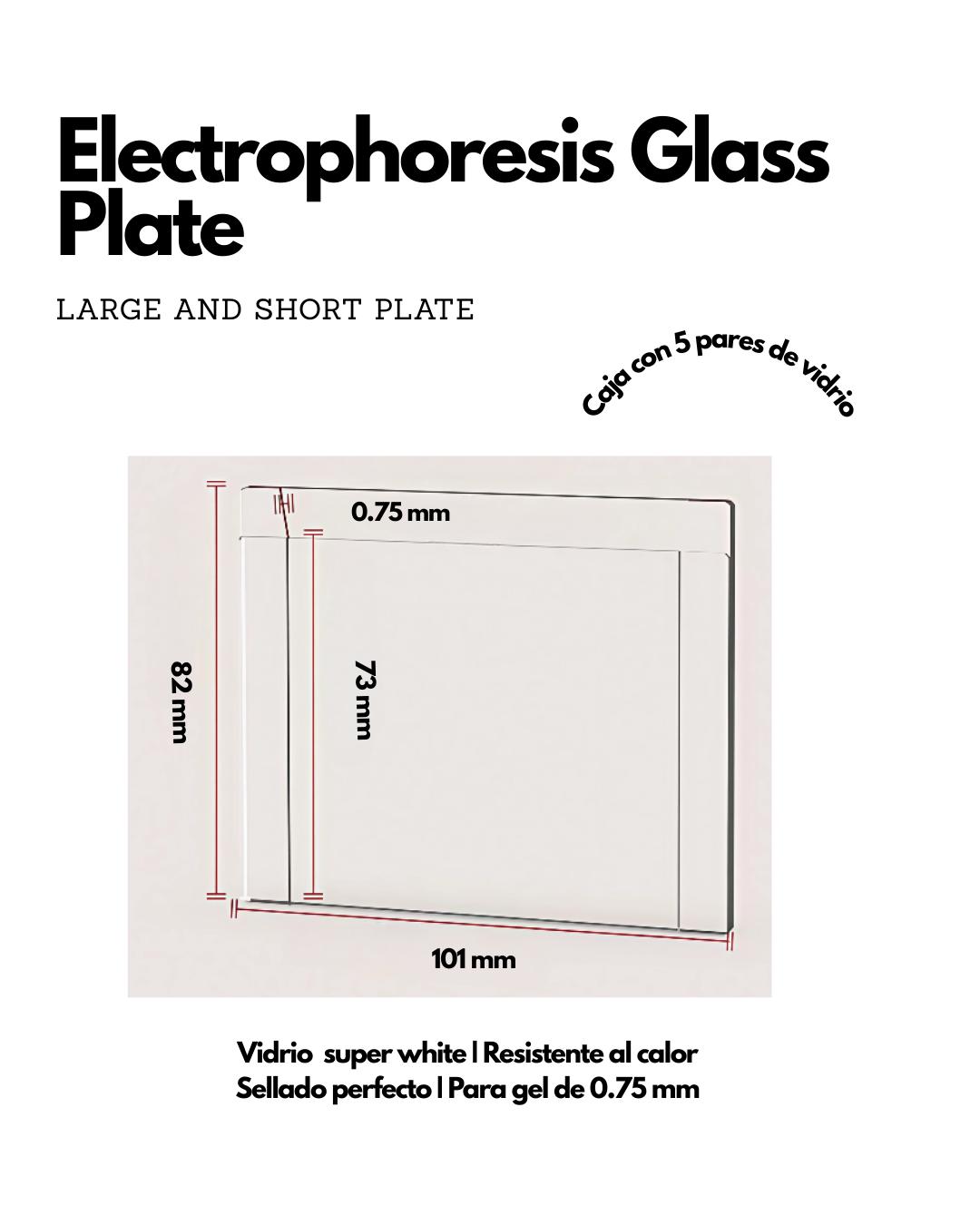 Vidrios para geles de electroforésis Imagen principal del producto