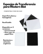 Esponjas de Transferencia para Western Blot | 4 Piezas