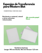 Esponjas de Transferencia para Western Blot | 4 Piezas