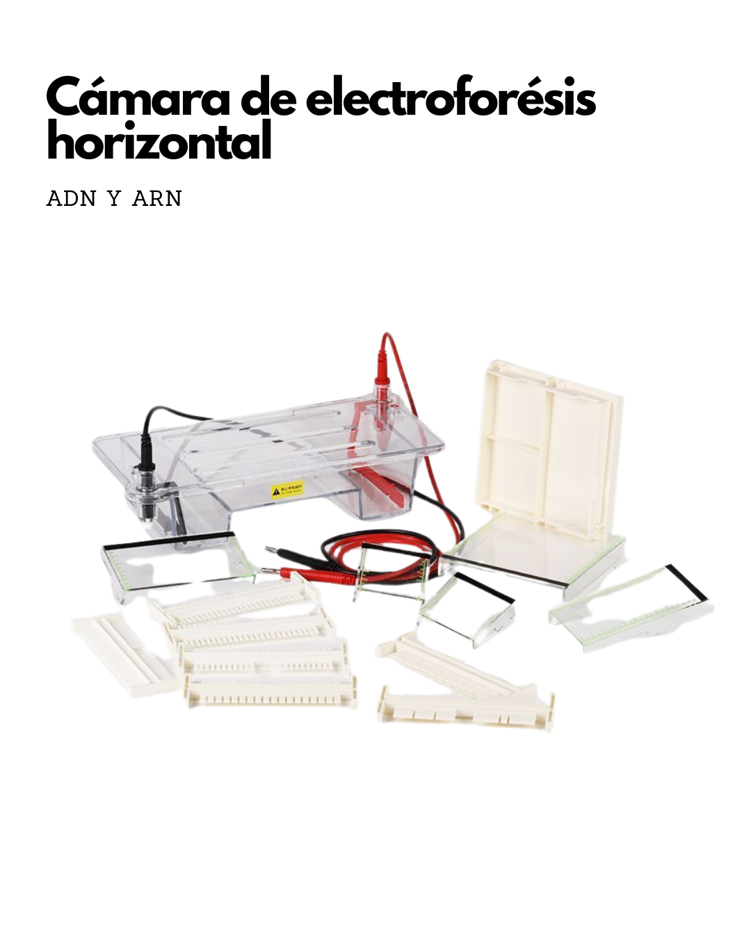 Cámara de electrofóresis horizontal
