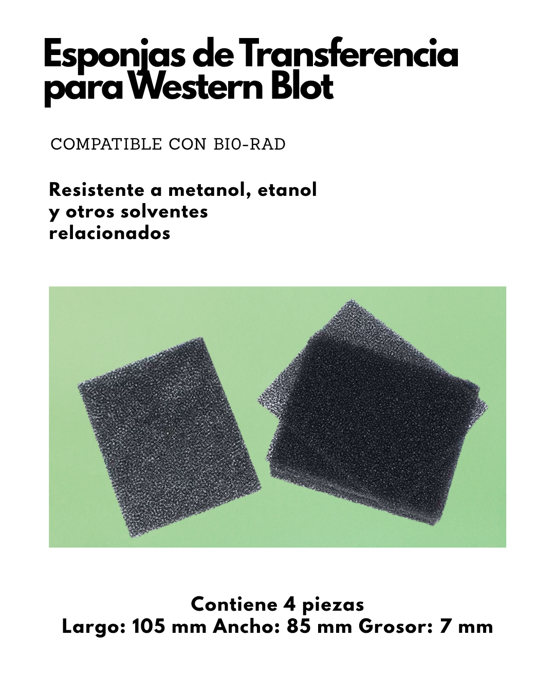 Esponjas de Transferencia para Western Blot | 4 Piezas Imagen principal del producto
