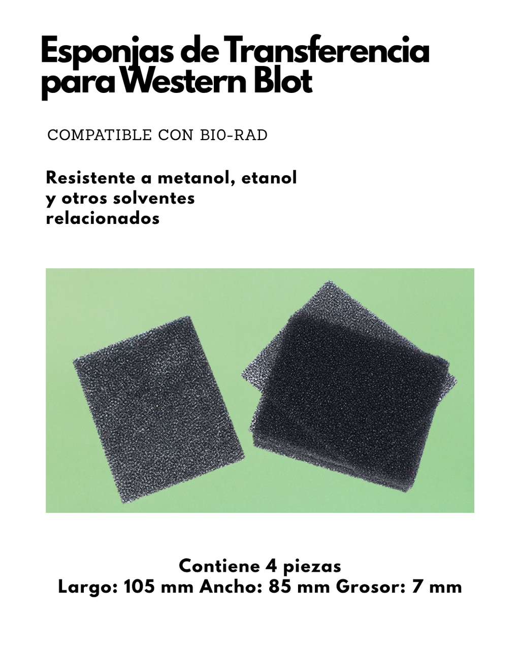 Esponjas de Transferencia para Western Blot | 4 Piezas