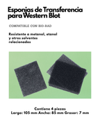 Esponjas de Transferencia para Western Blot | 4 Piezas