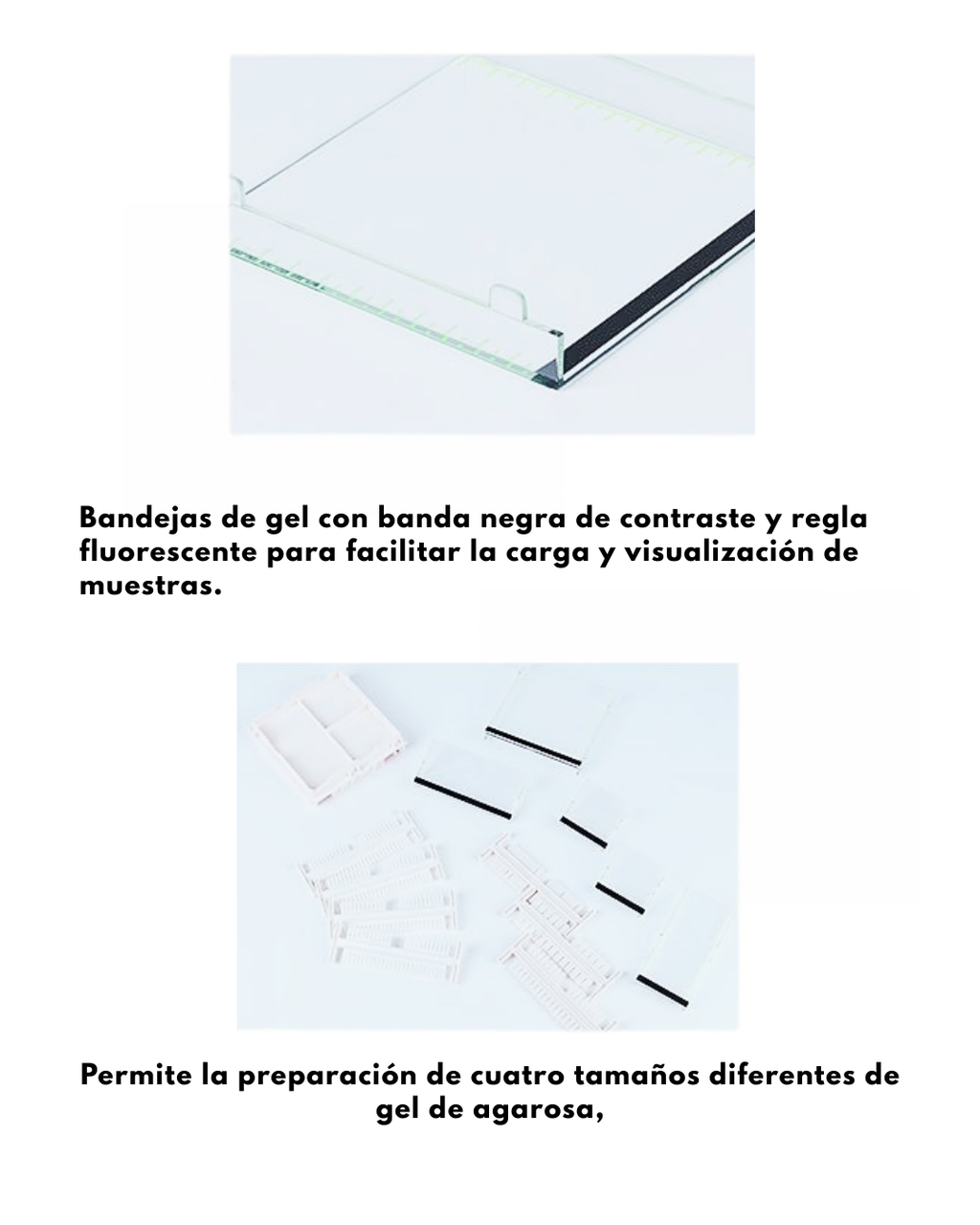 Cámara de electrofóresis horizontal