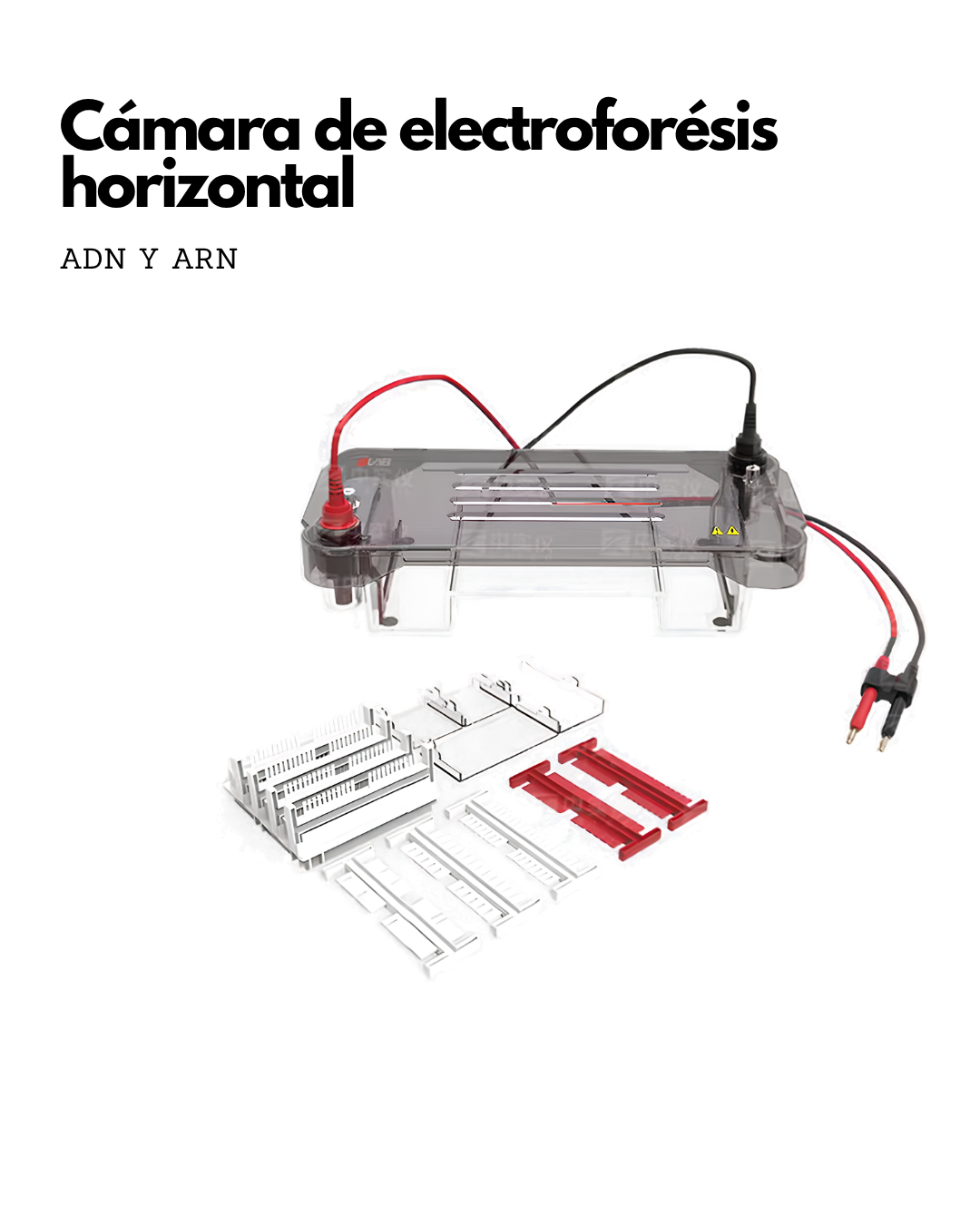 Cámara de electrofóresis horizontal Imagen principal del producto