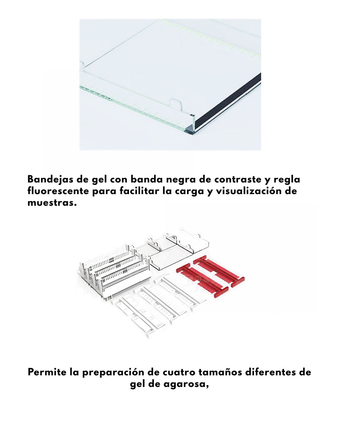 Cámara de electrofóresis horizontal Imagen secundaria del producto