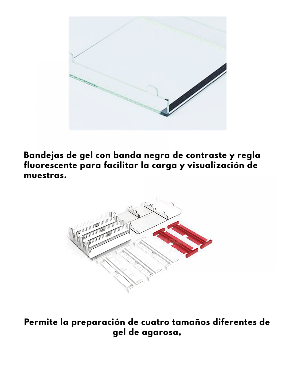 Cámara de electrofóresis horizontal