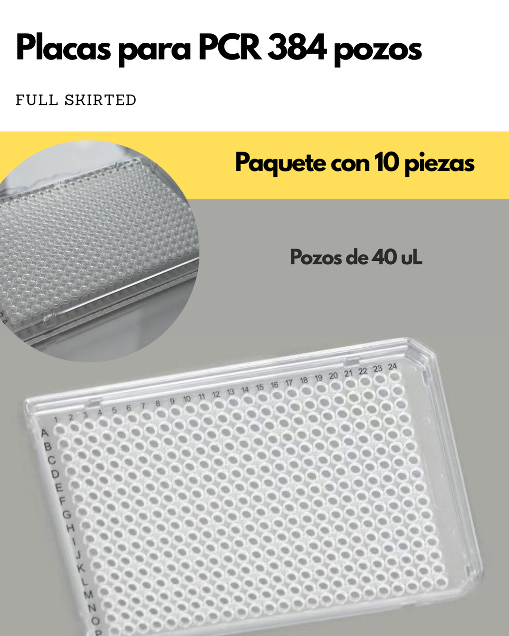 Placas PCR | 96 y 384 pozos