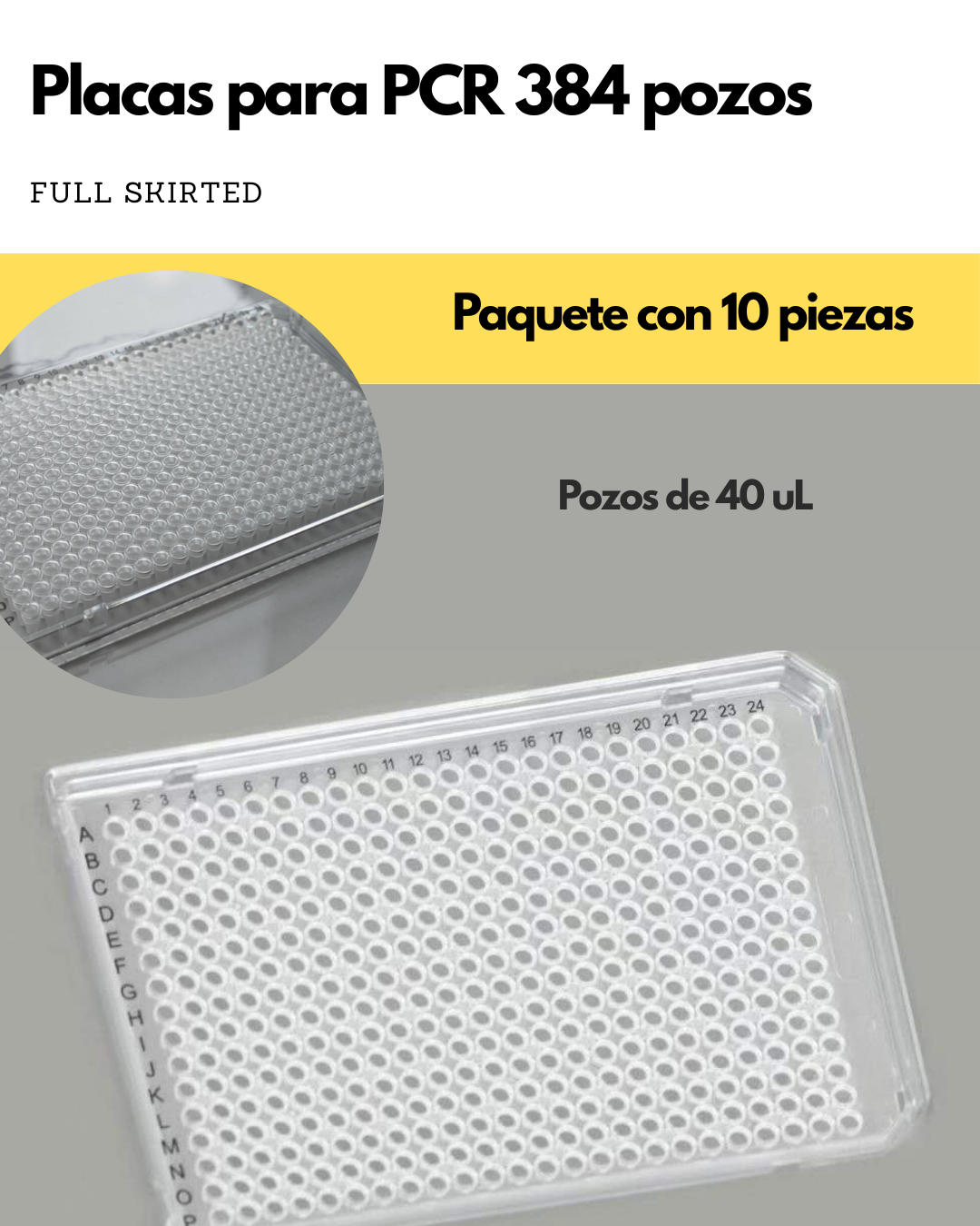 Placas PCR | 96 y 384 pozos