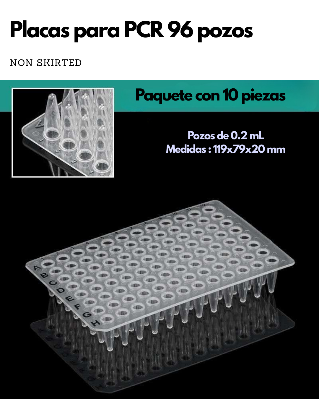 Placas PCR | 96 y 384 pozos