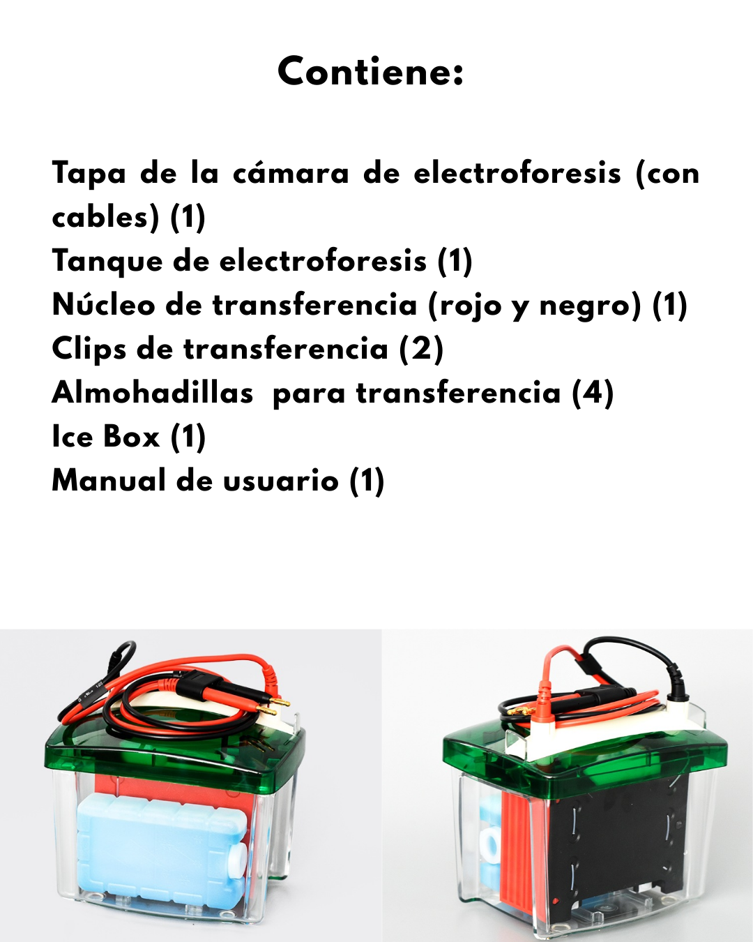 Sistema de Transferencia para Western Blot | Compatible con Bi0-Rad | Transferencia de 2 Geles en 60 Minutos