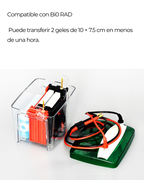 Sistema de Transferencia para Western Blot | Compatible con Bi0-Rad | Transferencia de 2 Geles en 60 Minutos