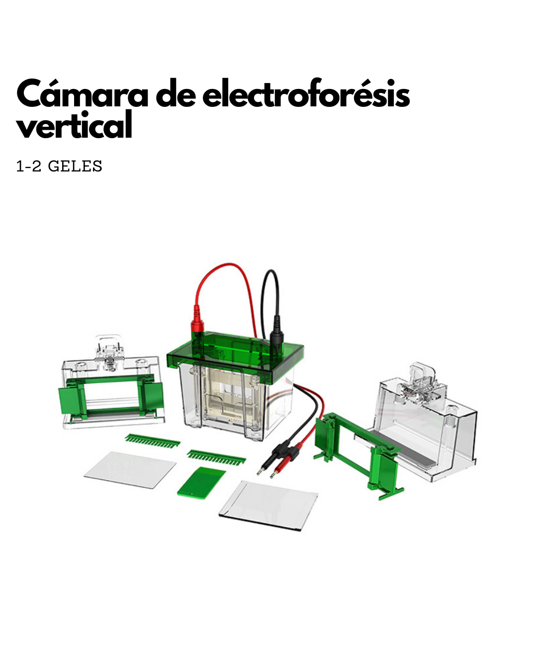 Cámara de Electroforesis Vertical SDS PAGE Imagen secundaria del producto