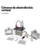 Cámara de Electroforesis Vertical SDS PAGE
