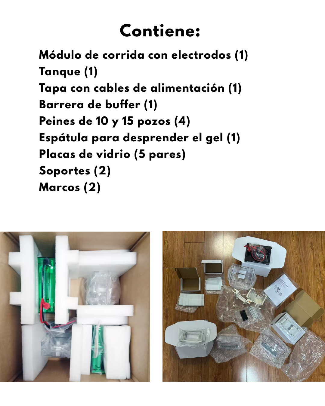 Cámara de Electroforesis Vertical SDS PAGE