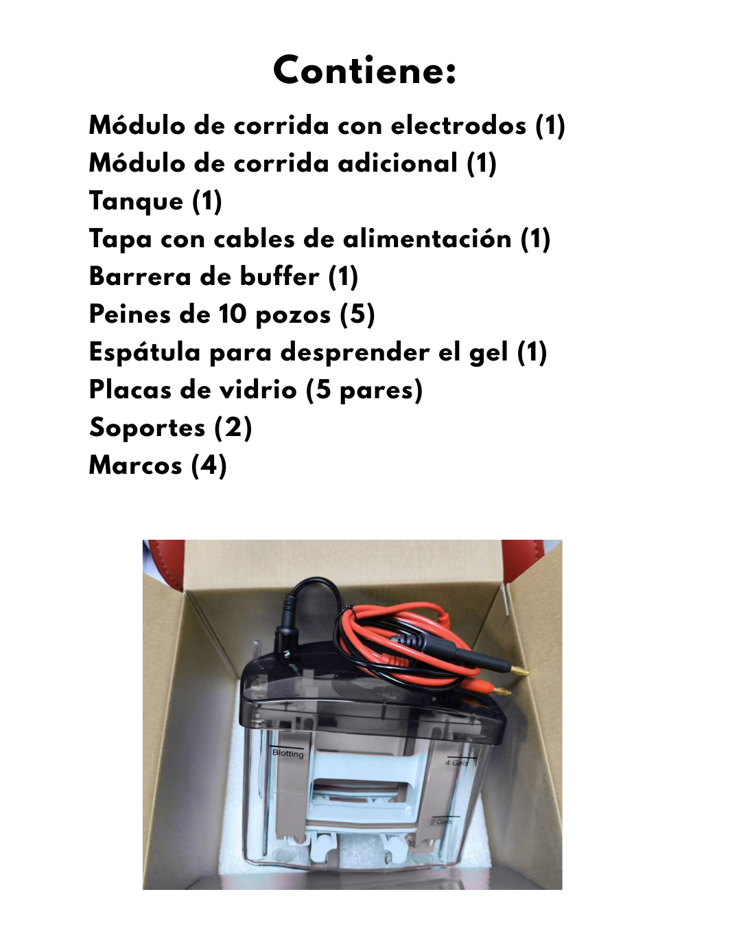 Cámara de Electroforesis Vertical SDS PAGE
