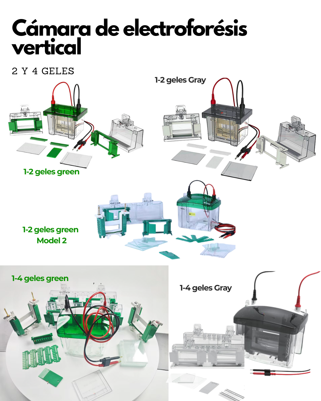Cámara de Electroforesis Vertical SDS PAGE Imagen principal del producto