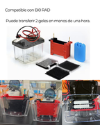 Sistema de Transferencia para Western Blot | Compatible con Bi0-Rad | Transferencia de 2 Geles en 60 Minutos