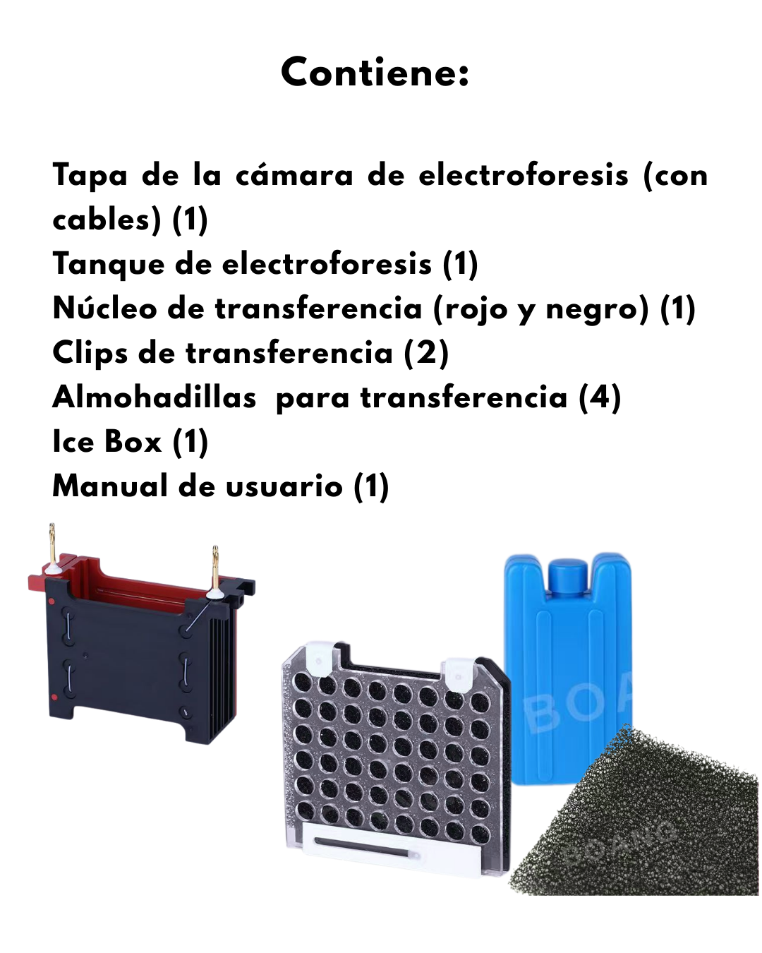 Sistema de Transferencia para Western Blot | Compatible con Bi0-Rad | Transferencia de 2 Geles en 60 Minutos