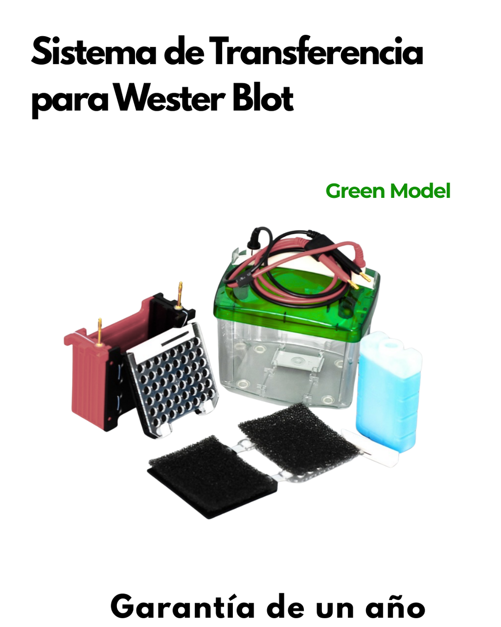 Sistema de Transferencia para Western Blot | Compatible con Bi0-Rad | Transferencia de 2 Geles en 60 Minutos