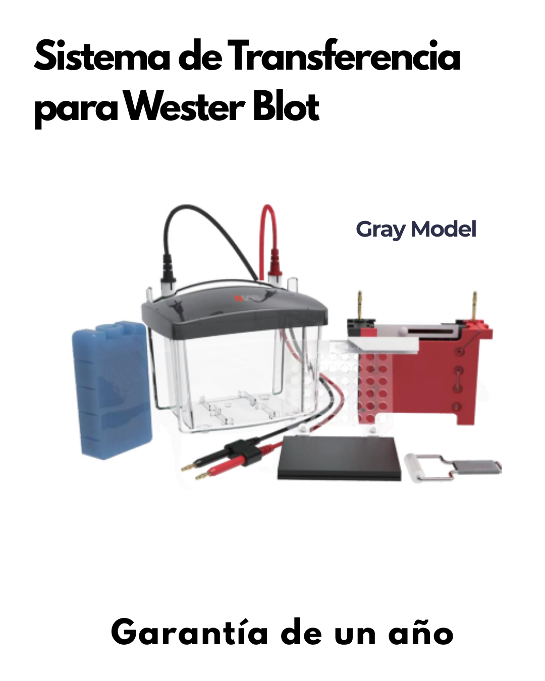 Sistema de Transferencia para Western Blot | Compatible con Bi0-Rad | Transferencia de 2 Geles en 60 Minutos