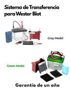 Sistema de Transferencia para Western Blot | Compatible con Bi0-Rad | Transferencia de 2 Geles en 60 Minutos