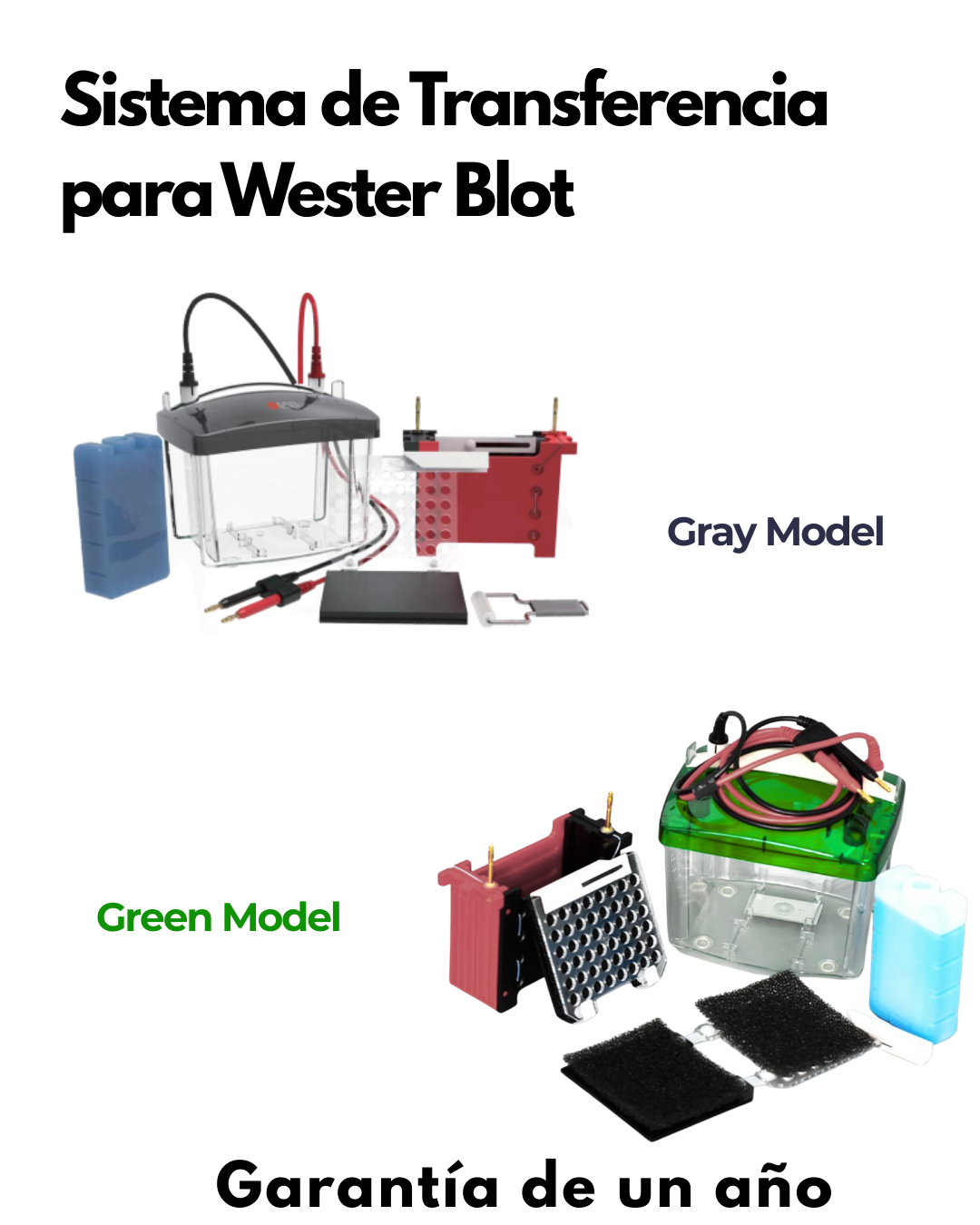 Sistema de Transferencia para Western Blot | Compatible con Bi0-Rad | Transferencia de 2 Geles en 60 Minutos