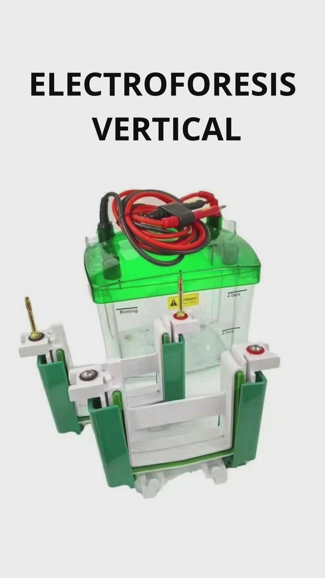 Cámara de Electroforesis Vertical SDS PAGE